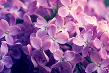 金华兰溪企业急用钱贷款攻略：快速融资解燃眉之急